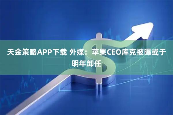 天金策略APP下载 外媒：苹果CEO库克被曝或于明年卸任