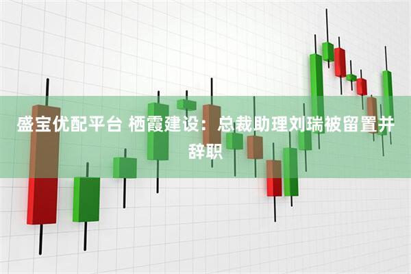 盛宝优配平台 栖霞建设：总裁助理刘瑞被留置并辞职